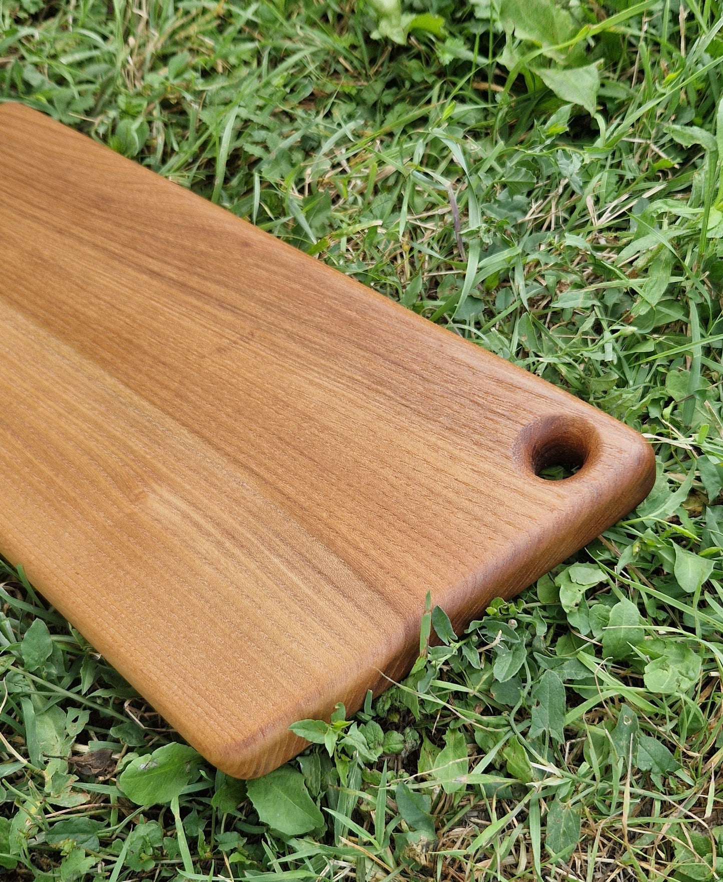 Planche de présentation, orme