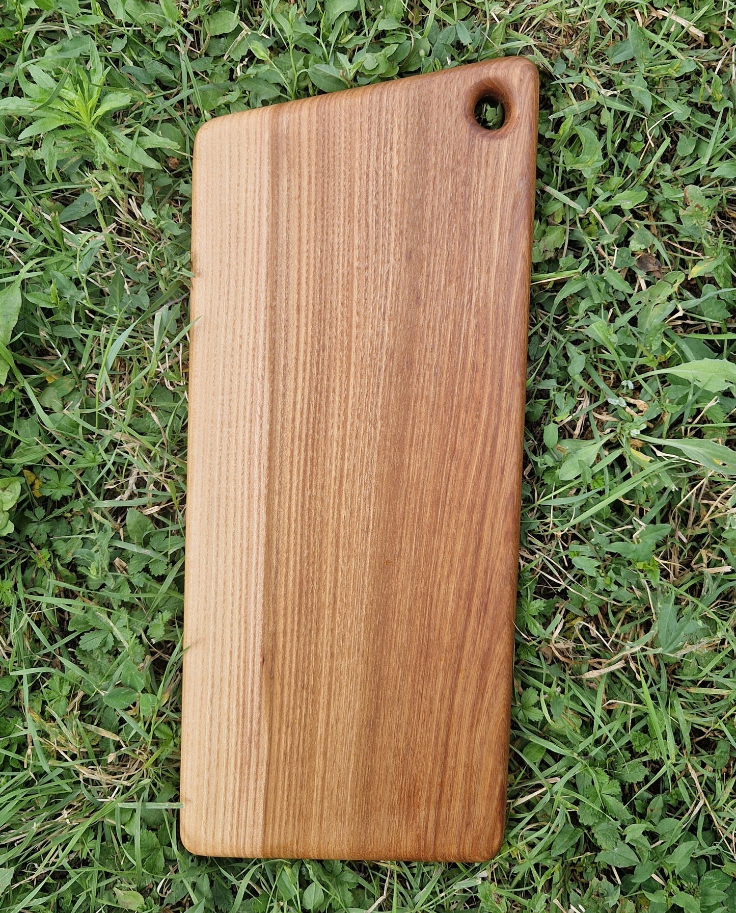 Planche de présentation, orme